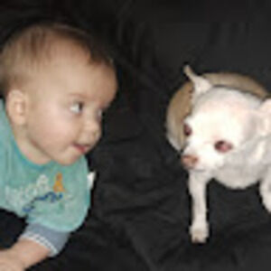 Meet your Posher, Sierra